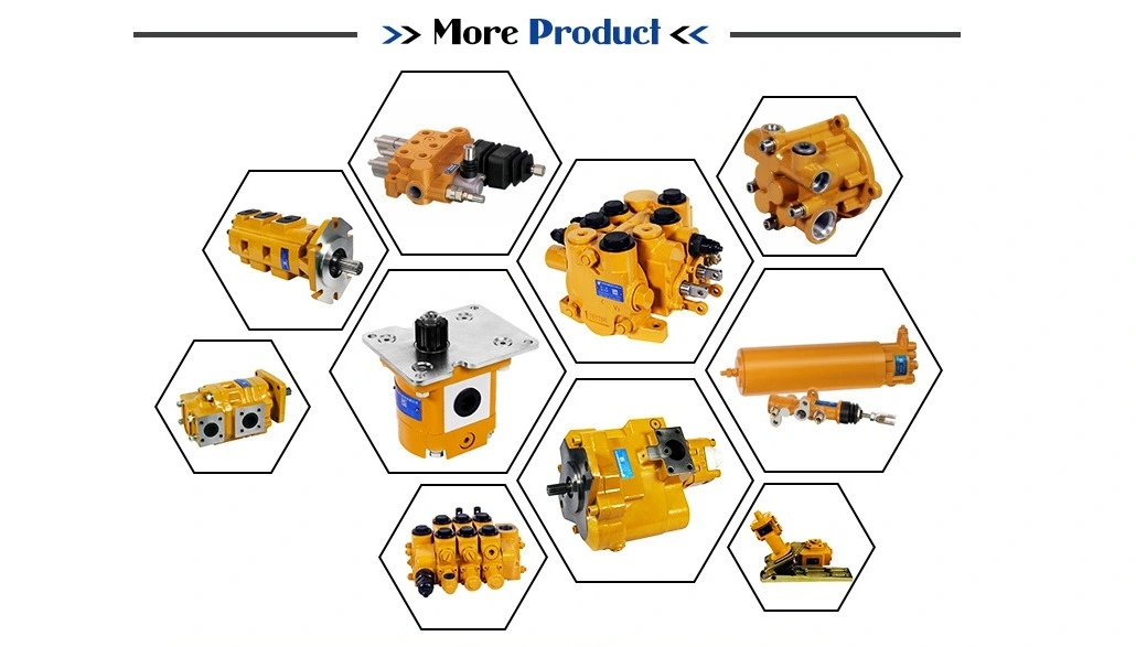 Forklift Hydraulic Gear Pump, Valves, Oil Cylinder, Starter, Water Pump