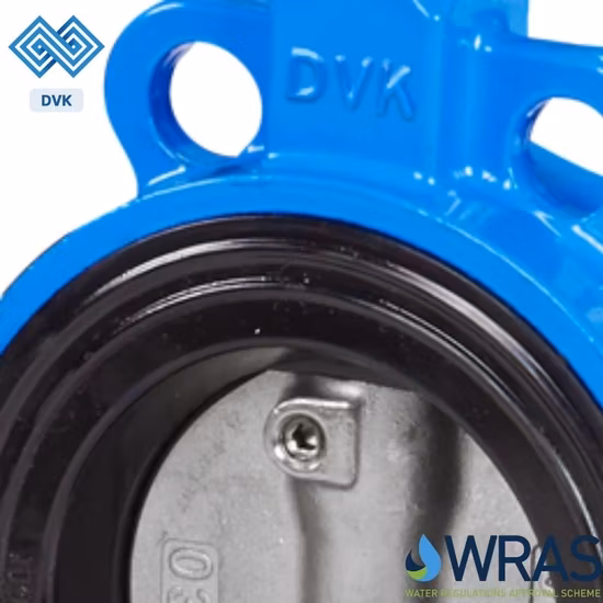 Hand Wheel Operated Ductile Iron Disc Wrapped up with EPDM Rubber Flange End Balance Valve